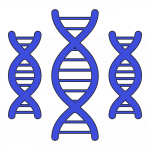 Pictograma que muestra tres trozos azules de ADN, lugar donde se encuentran los genes. 