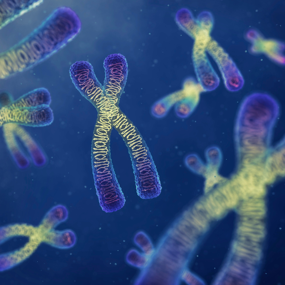 Fotografía microscópica de cromosomas.