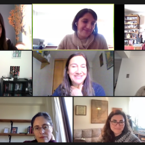 Captura de pantalla que muestra a distintas personas conectadas por Zoom en videollamada.
