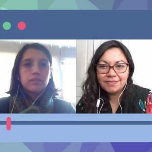 Foto de Beatriz Fernández y Bárbara Flores a través de videollamada