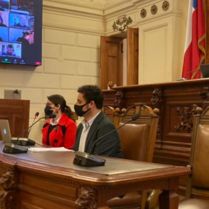 Foto de Marcela Tenorio y Ricardo Pizarro en el hemiciclo del Senado del Excongreso Nacional, exponiendo en la Convención Constitucional.