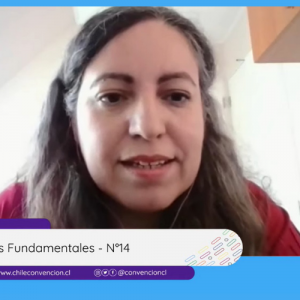 Captura de pantalla de Claudia exponiendo por videollamada en la Convención Constitucional de Chile